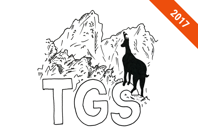 PERCHÈ IL TGS